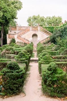 an outdoor garden with many bushes and trees around it, including steps leading up to the entrance