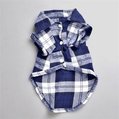 a blue and white checkered dog shirt with ruffles on the collar,