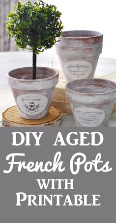 three potted plants with the words diy aged french pots with printable labels