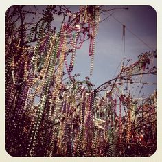 there are many beads hanging from the trees