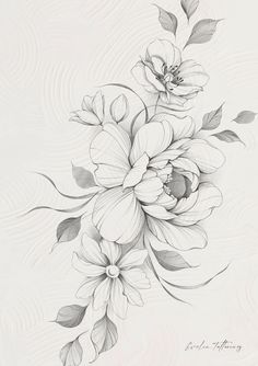 a black and white drawing of flowers with leaves on the bottom half of their petals