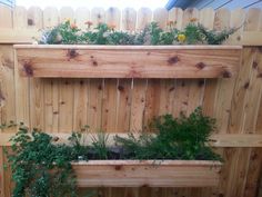 some plants are growing in wooden planters on the side of a fenced area