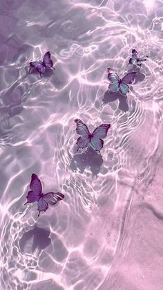 three purple butterflies floating in the water