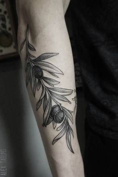 an olive branch tattoo on the arm