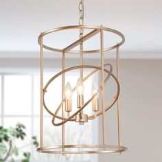 a chandelier hanging from a ceiling in a living room with windows and potted plant