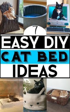 a collage of cat beds with cats in them and the words easy diy cat bed ideas