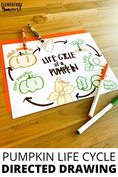 a pumpkin life cycle drawn on a piece of paper with crayons next to it