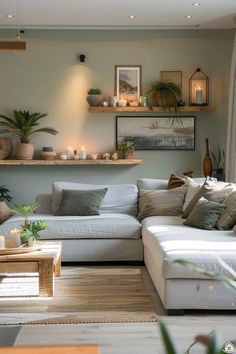 a living room filled with lots of furniture and plants on top of the shelves next to each other