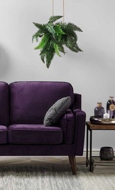 a purple couch sitting next to a table with a potted plant