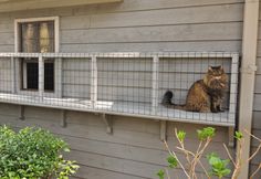 a cat sitting on top of a window sill in front of a gray house