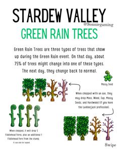 the instructions for how to grow green rain trees