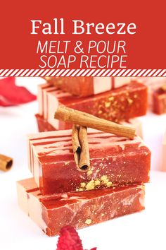 fall breezee melt and pour soap recipe with raspberry, cinnamon, and cardamoa