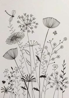 black and white drawing of wildflowers with dragonflies on the back ground, in front of a white background