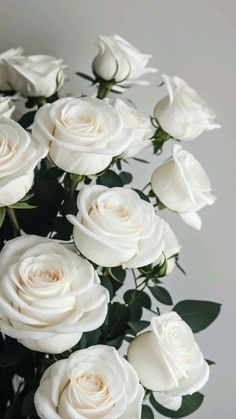 #flowers #rose Wallpaper Mawar, Iphone Wallpaper Texture, Flowers Photography Wallpaper, Simple Phone Wallpapers, Beautiful Bouquet Of Flowers, Rose Wallpaper, Photography Wallpaper, Pretty Wallpapers Backgrounds, Flower Backgrounds