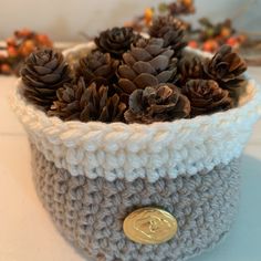 a crocheted basket with pine cones in it