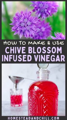 how to make and use chive blossom infused vinegar for diy home remedishments