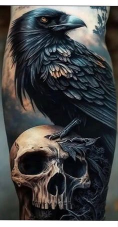 a black bird sitting on top of a skull