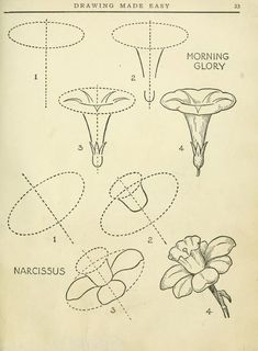 an old book with drawings and instructions on how to make flower heads in different shapes