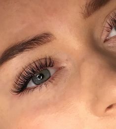 Eyelash Extensions Classic Natural, Hybrid Wispy Eyelash Extensions Doll Eye, Classic Lash Extensions Styles Doll Eye, Eye Lash Extensions Styles Natural, Hybrid Open Eye Lash Extensions, Natural Wet Set Lash Extensions, Short Eyelash Extensions, Classic Natural Eyelash Extensions, Classic Lash Extensions Styles