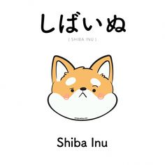 an animal with the words shiba inu