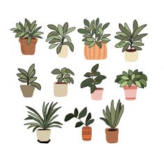 a bunch of potted plants sitting on top of each other in different shapes and sizes