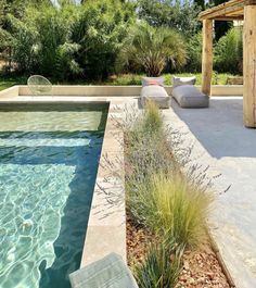 an outdoor swimming pool surrounded by greenery