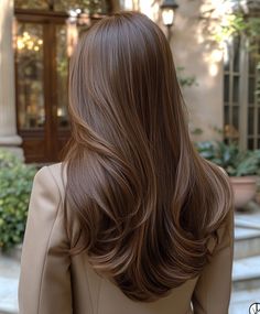 Pelo Castaño con Reflejos y Capas Sutiles 🌿 Chestnut Brown Hair With Highlights, Hair Dye Brown, Honey Hair Color, Hair Inspiration Long, Layered Haircuts For Medium Hair, Chocolate Hair, Hairstyles For Layered Hair, Honey Hair