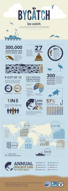 the world's largest passenger jetliners are shown in this infograph poster