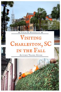 the front cover of visiting charleston, sc in the fall with pumpkins and gourds