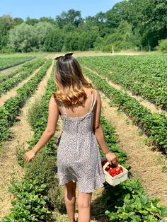 a woman walking through a field carrying a box of strawberries