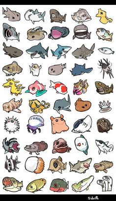 a bunch of different types of fish on a white background with black border around the edges