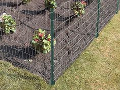 a garden fence with plants growing in it and the words learn more about front yard fence landscaping