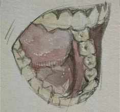 a drawing of an open mouth with teeth and gums on it's side