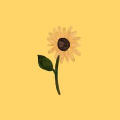 a drawing of a sunflower on a yellow background