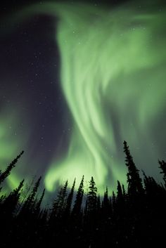 an aurora bore is seen in the sky above some trees