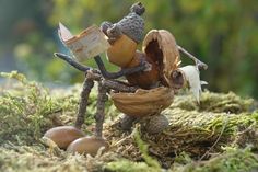 a small figurine made to look like an insect with wings and legs holding nuts in its mouth