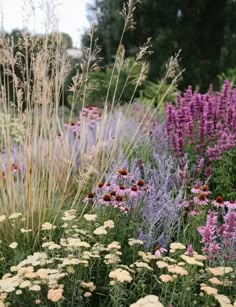 various types of flowers and plants in a garden area with tall grasses, wildflowers, and other foliage