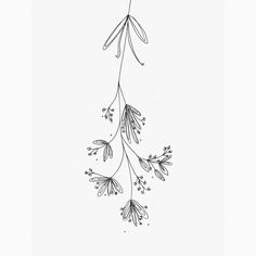 an ink drawing of some flowers hanging from a branch with leaves and buds on it