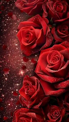 Red Rose Background, Rose Background, Rainbow Wallpaper, Background Wallpaper, Red Rose, Beautiful Roses, Wallpaper Backgrounds, Red Roses, Roses