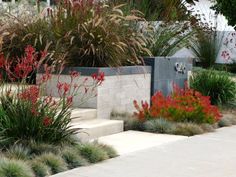 some very pretty flowers and plants by the sidewalk