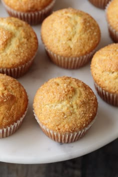 several muffins on a white plate ready to be eaten