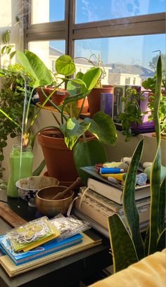 plants and books on a table in front of a window