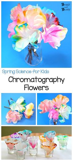 Spring Science Experiments, Spring Science Activities, Spring Science, Steam Activity, Spring Art Projects, Kindergarten Art Projects, Science Activity, Steam Activities, Spring Crafts For Kids