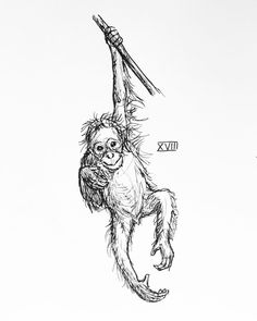 a drawing of a monkey hanging upside down