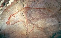 an animal is depicted on the rock wall in this cave painting, which depicts a bull