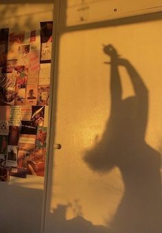 the shadow of a person holding a skateboard in front of a wall with pictures on it