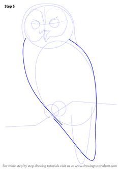 how to draw an owl step 5