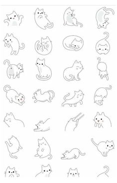 various cats and kittens are shown in black and white