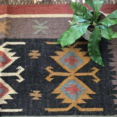 a potted plant sitting on top of a rug