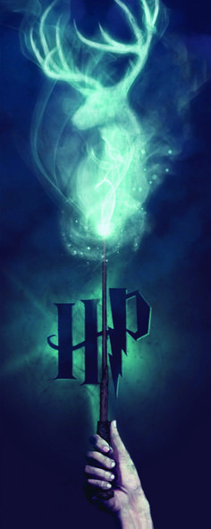 Harry Potter Wand